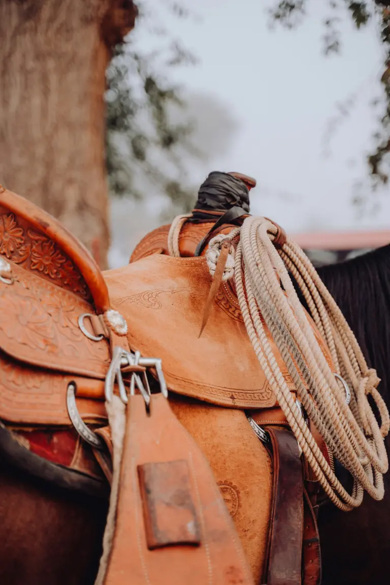 Detailed leather saddle, straps and rope on a horse